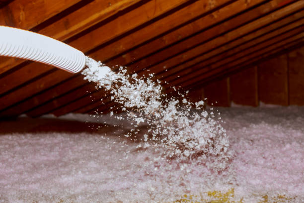 Best Garage Insulation Installation  in Crab Orchard, WV