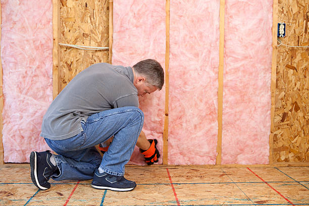 Best Insulation for New Construction  in Crab Orchard, WV