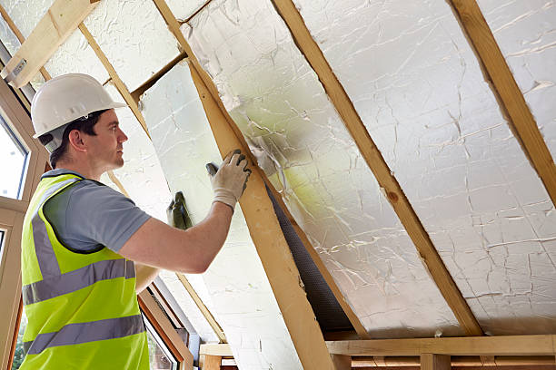 Best Insulation Replacement Services  in Crab Orchard, WV